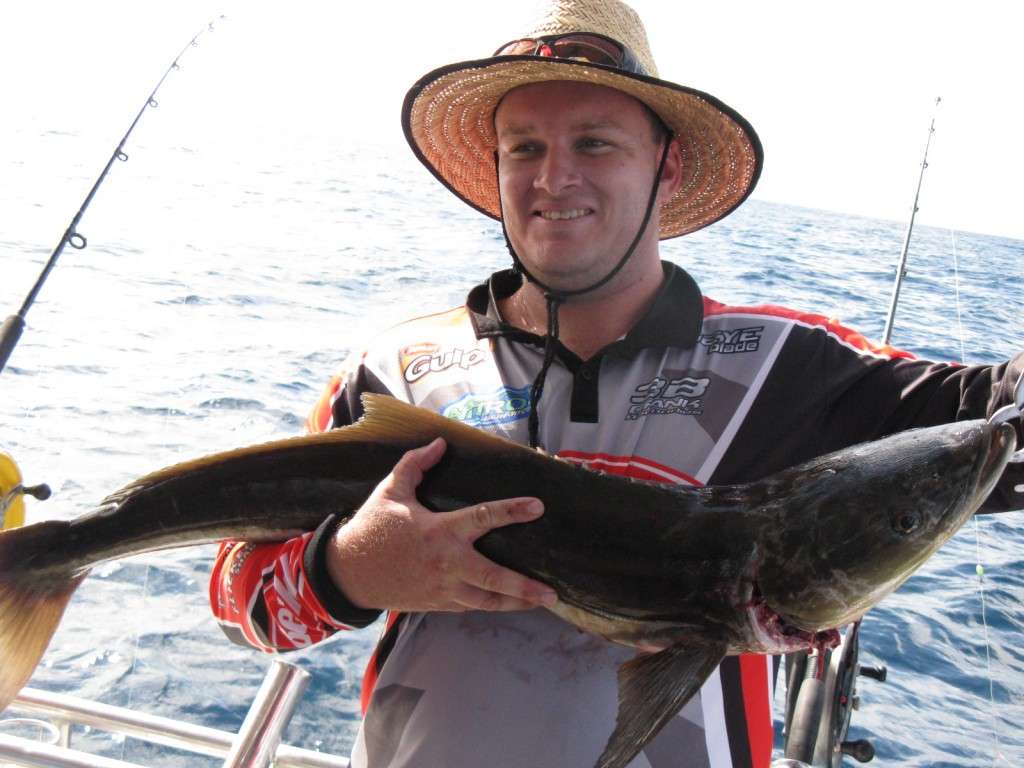 10kg cobia from the banks