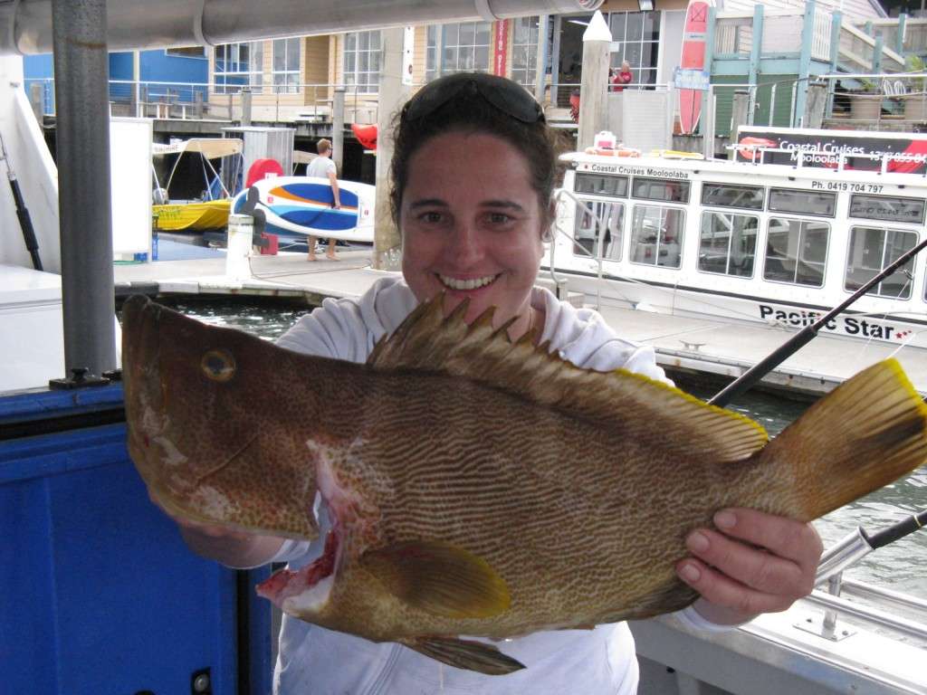 3kg maori cod barwon banks