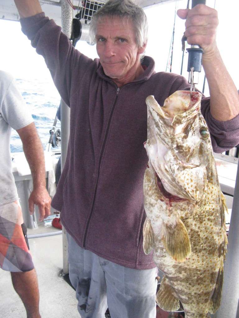 8kg gold spot estuary cod caught on the caloundra 12nm