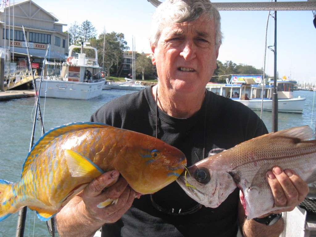 blue barred parrot fish 3kg murphy's