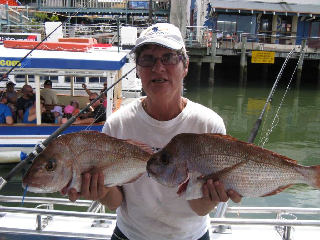 some nice squiry snapper to 4kg coming through