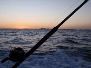 rods at sunset