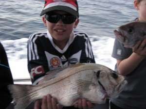 2kg pearl perch caloundra 9nm