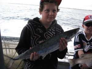 4kg school mackerel