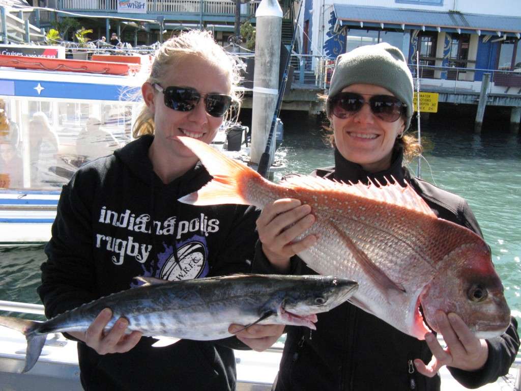 snapper 4kg and schoolie 2kg cal 9nm