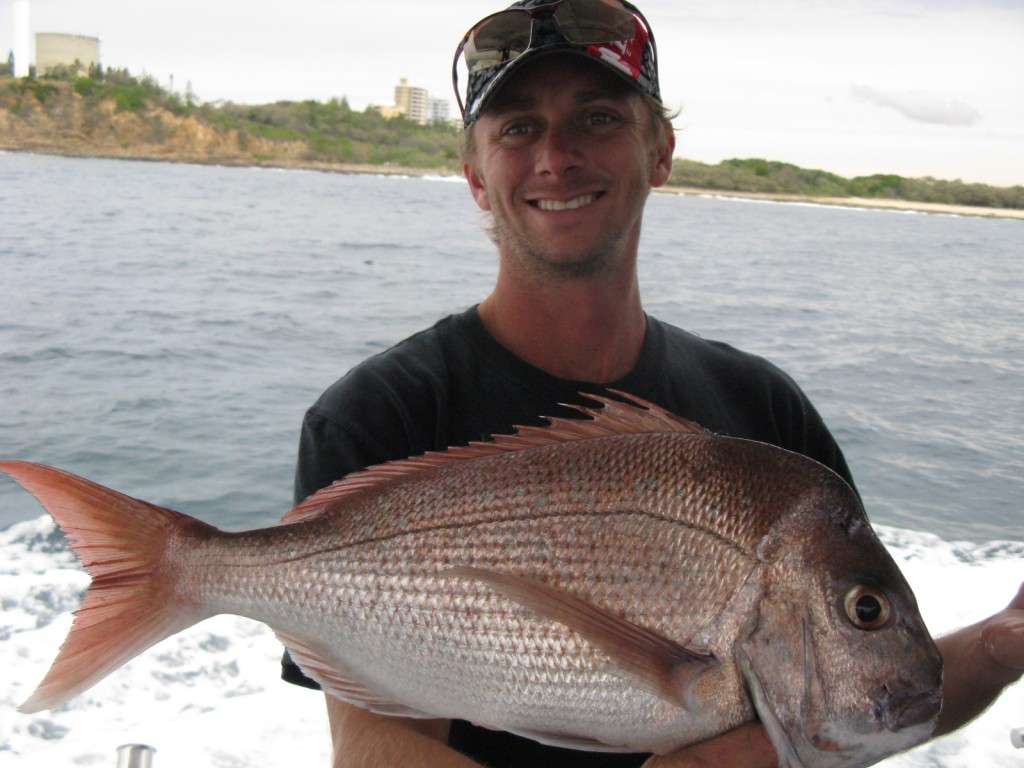 snapper to 3kg cal 9nm