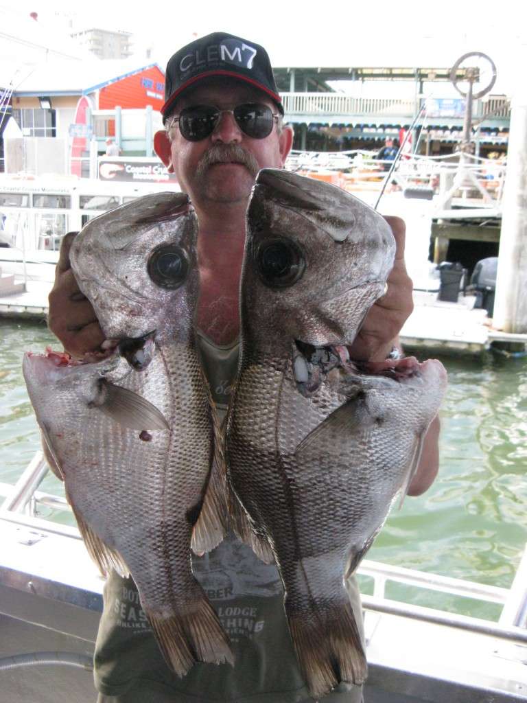 big pearlies to 4kg from the banks