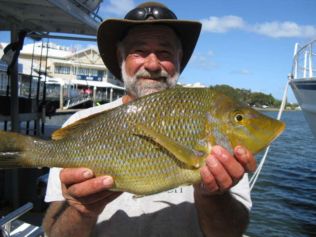 spangled emperor 4kg from the banks