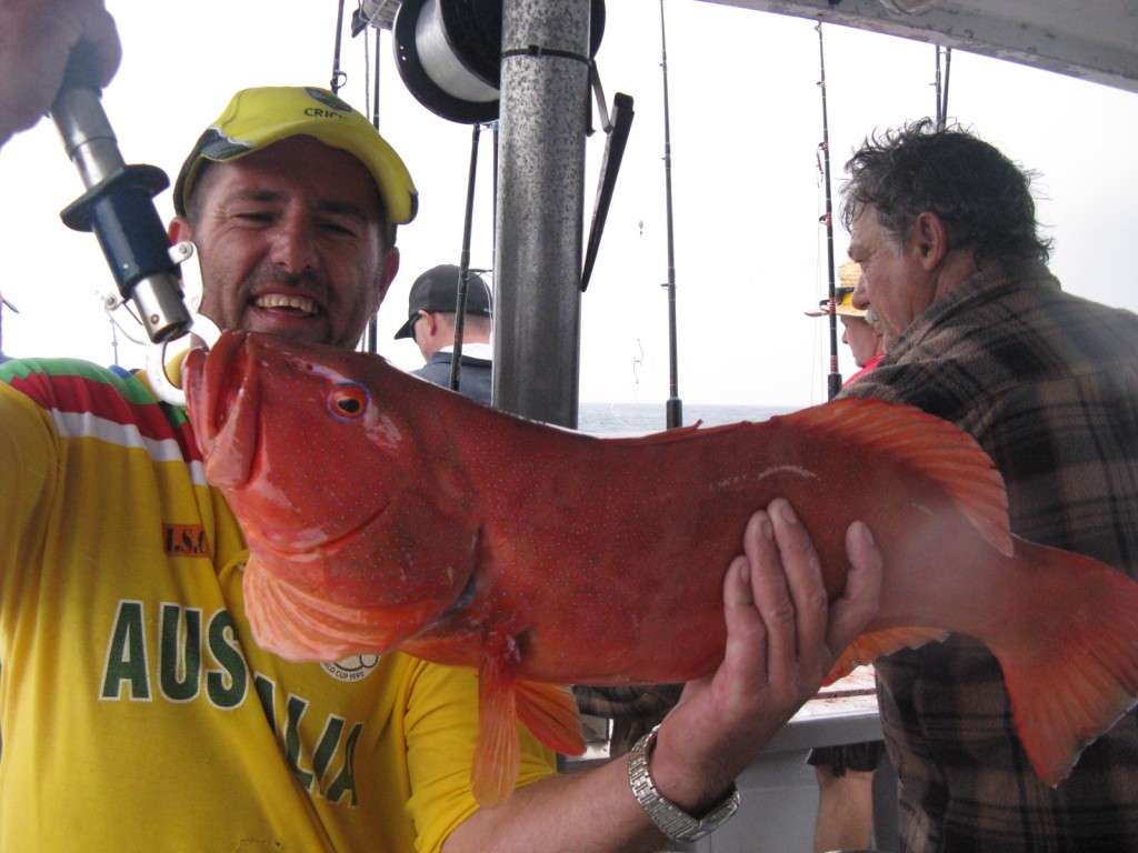 5kg coral trout from murphies