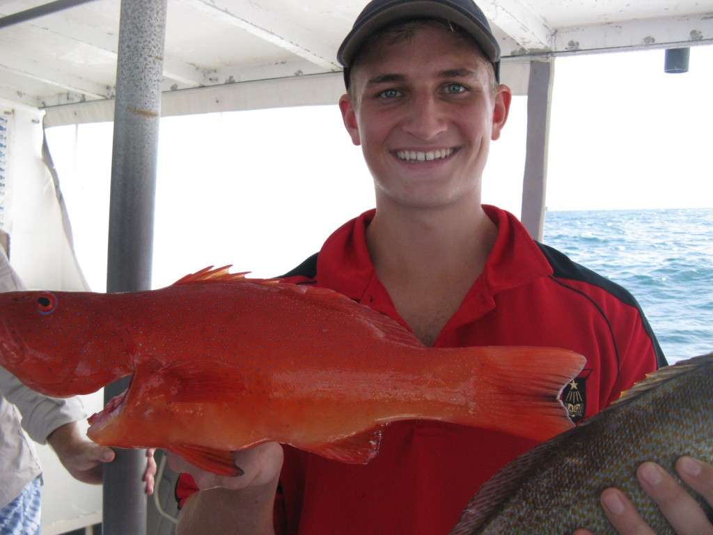 beautiful coral trou from the cal 9nm