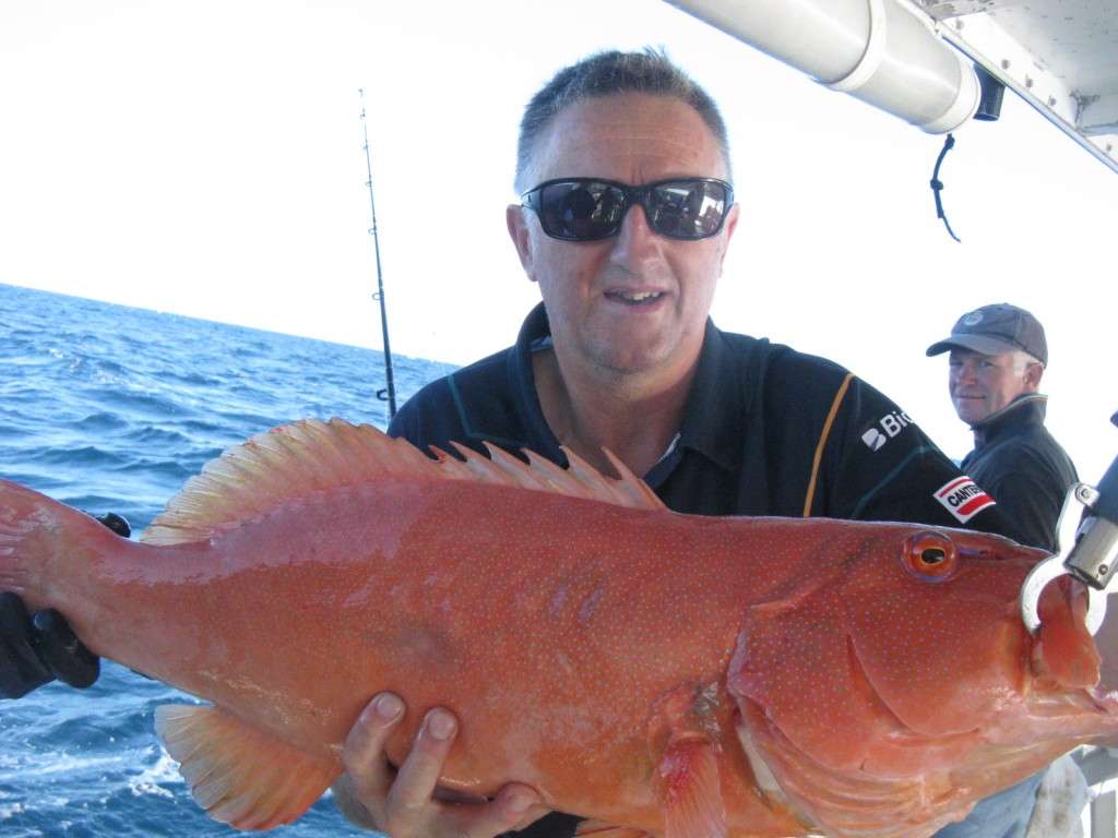 coral trout 6.5kg from murphys