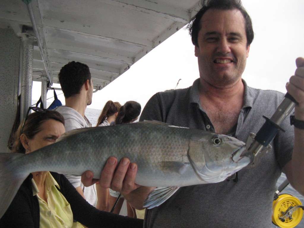 green jobfish banks