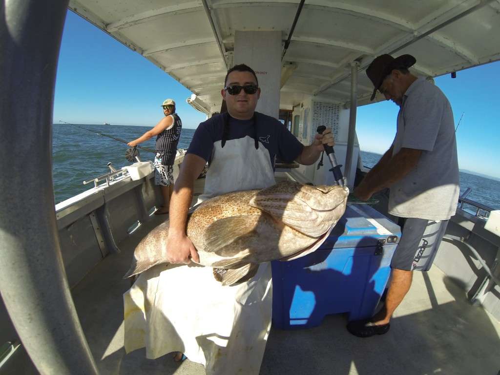 30kg cod 