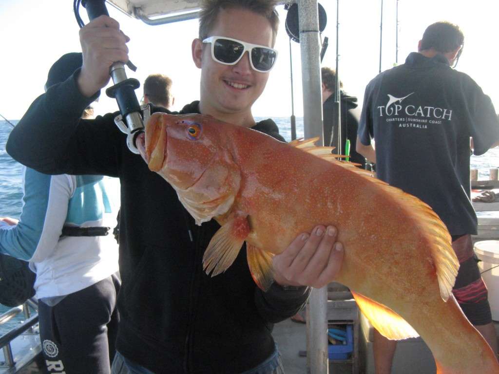 5kg coral trout on a halfday
