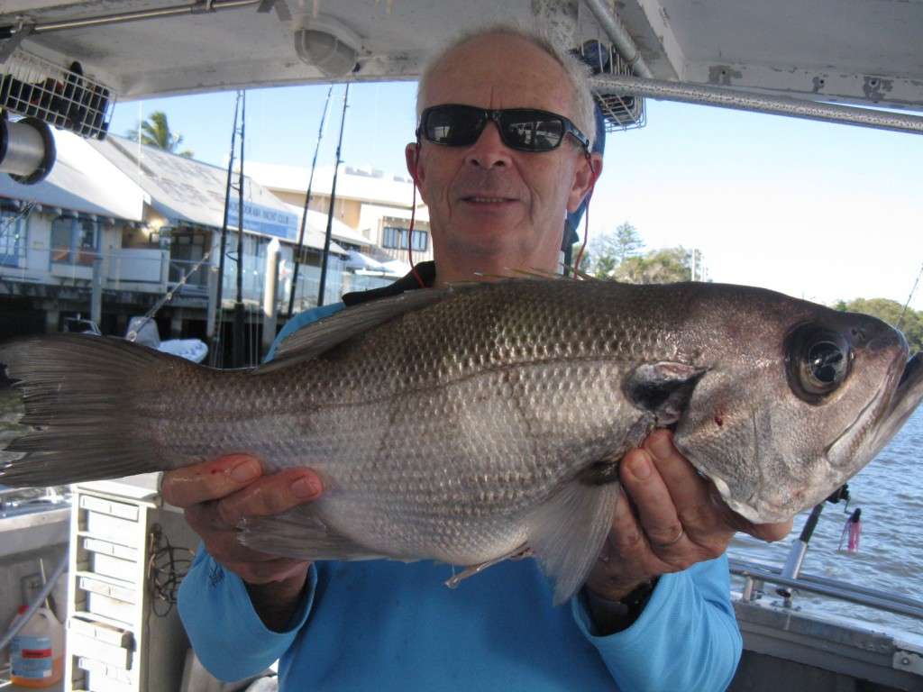 big pearl perch from a full day