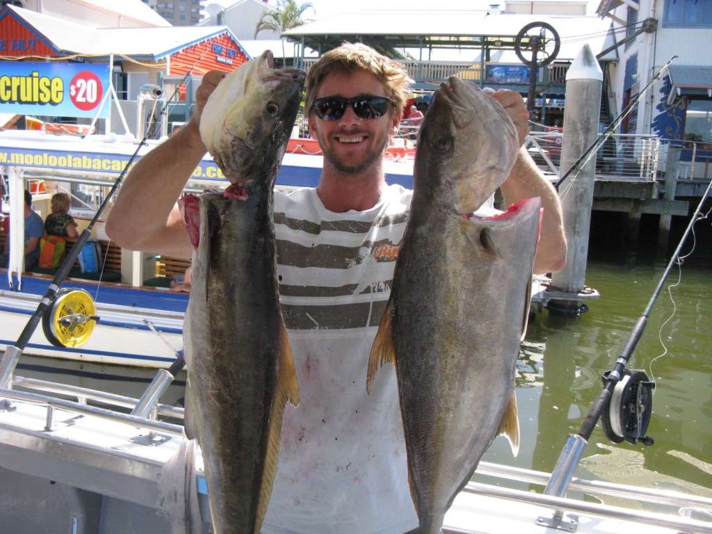 cobia and amberjack from a half day