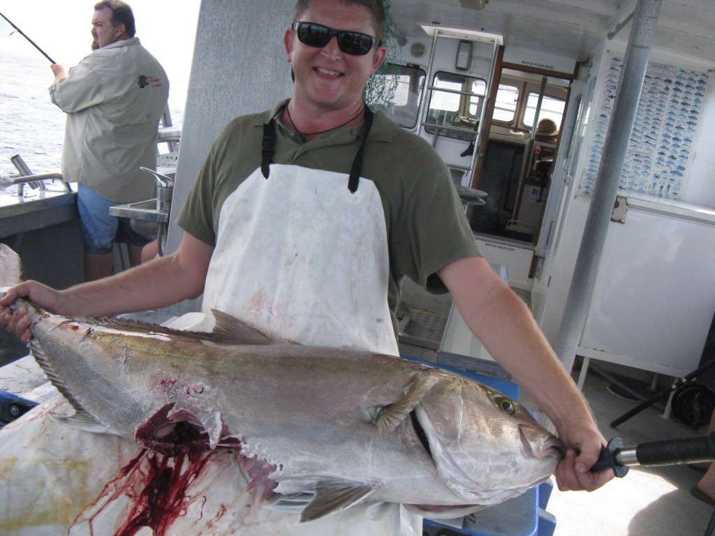 21kg amberjack minus tax (sharkbite)