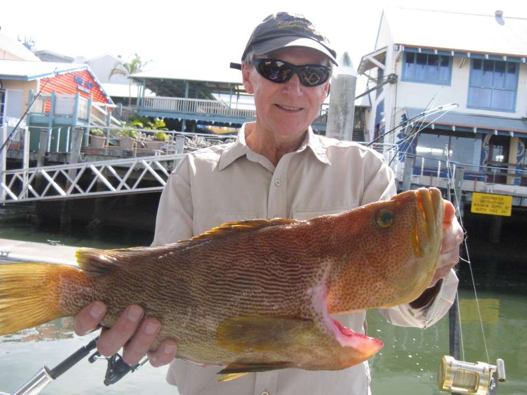 3.5kg maori cod taken on murphy's reef