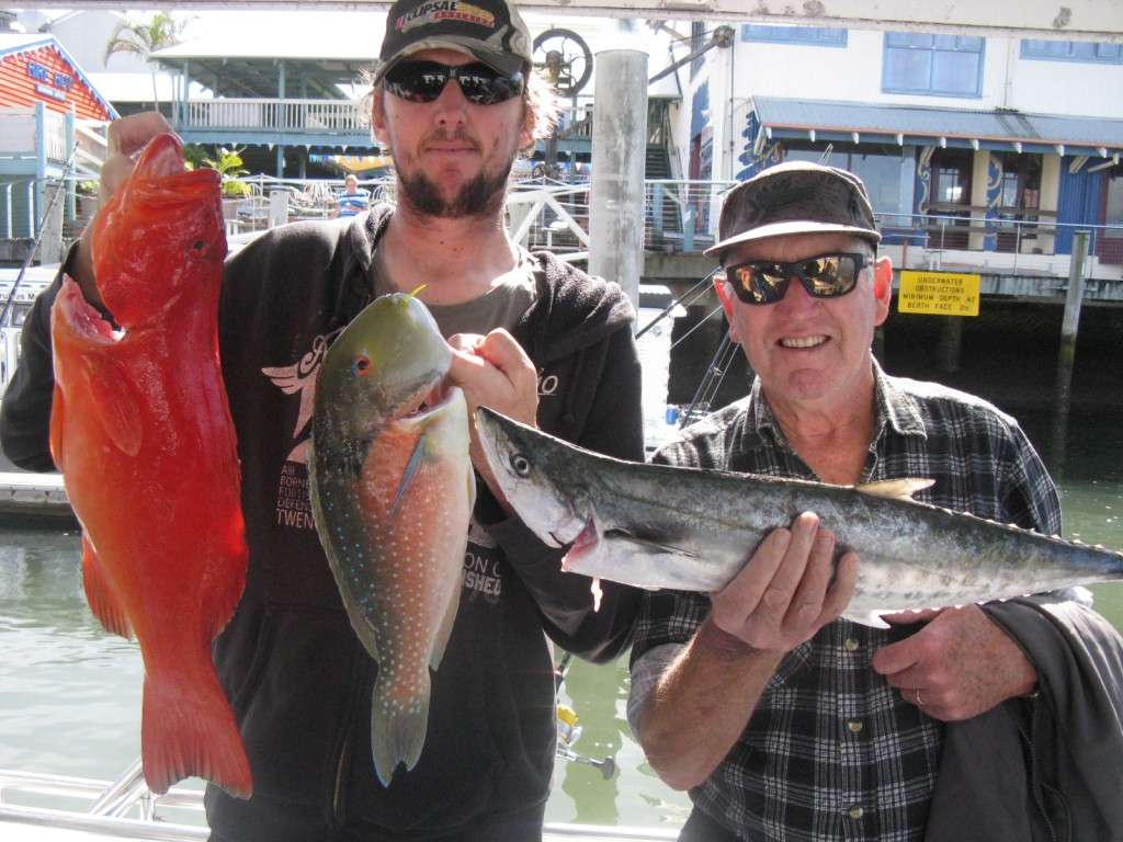 coral trout, tusk fish, school mackerel murphys reef