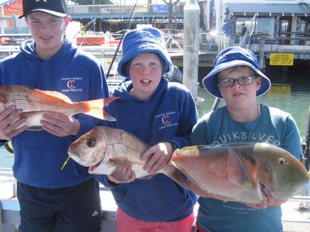 SNAPPER AND BIG TUSK FISH FROM MURPHIES