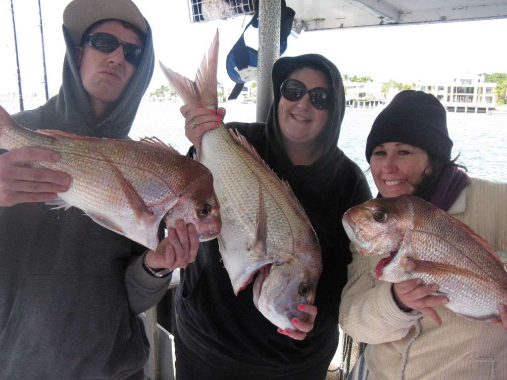 snapper to 6kg