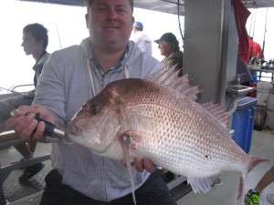 snapper to 5kg from murphies