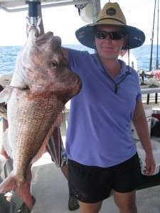 Summer Snapper