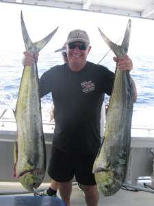 mahi mahi to 10kg from the banks