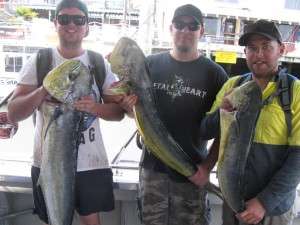 mahi mahi to 12kg from the banks