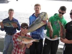 tusk,parrot,sqiure and mahi mahi from the banks