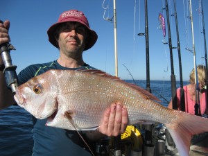 Snapper