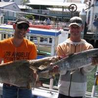 21kg estuary cod 6kg spanish currimundi reef