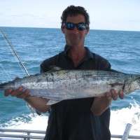 long tail tuna catch