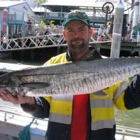 9kg spanish coolum reef