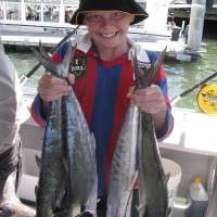 mackerel on all inshore reefs