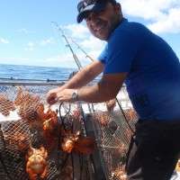 crabbing on the Sunshine Coast