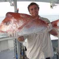 ocean fish caught on the Sunshine Coast