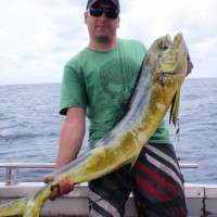 top catch fishing charters sunshine coast