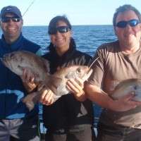 top catch fishing charters sunshine coast