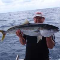 top catch fishing charters sunshine coast