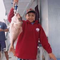 top catch fishing charters sunshine coast