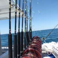 fishing rods