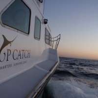 top catch charters