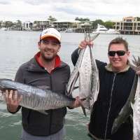 mackerel catch