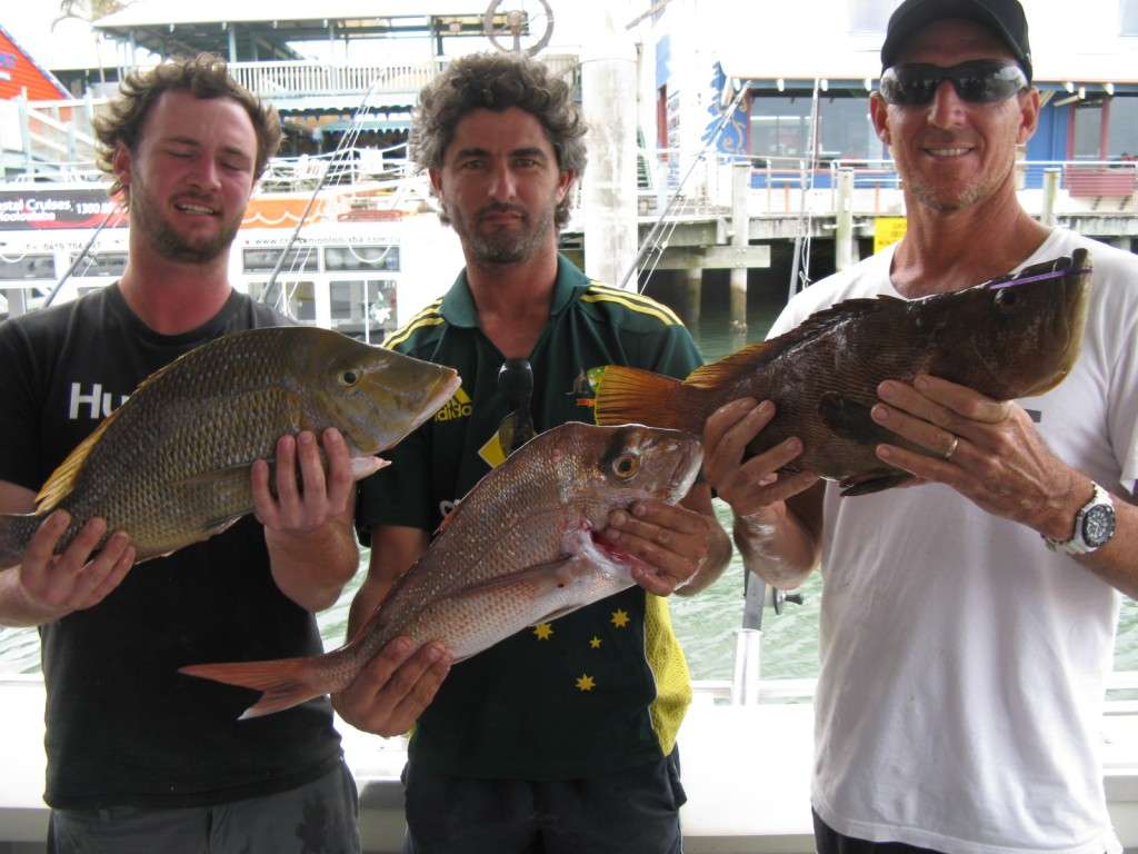 December | 2015 | Top Catch Charters